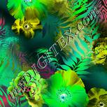 Colour:C
