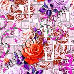 Colour:B