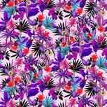 Colour:B
