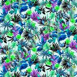 Colour:C