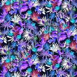 Colour:F