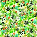 Colour:K