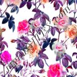 Colour:B