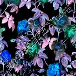 Colour:F