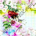Colour:A