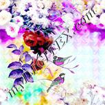 Colour:B