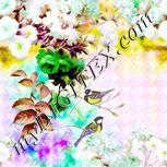 Colour:D