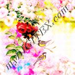 Colour:J