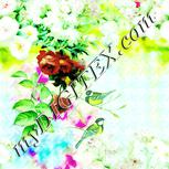 Colour:K