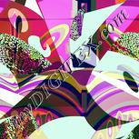 Colour:K