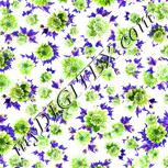Colour:C