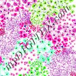 Colour:C