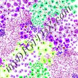 Colour:D