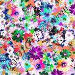 Colour:B