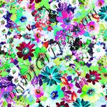 Colour:C