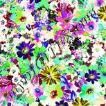 Colour:D