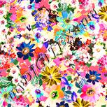 Colour:J