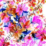 Colour:B