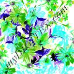 Colour:C