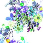 Colour:C