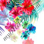 Colour:J
