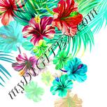 Colour:K