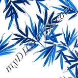 Colour:A