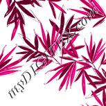 Colour:C