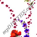 Colour:A