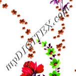 Colour:B