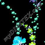Colour:F