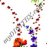 Colour:K