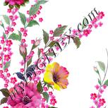 Colour:A