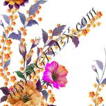 Colour:B
