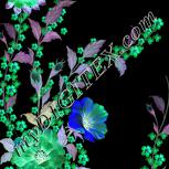 Colour:F