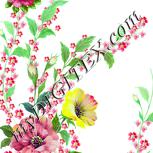 Colour:K