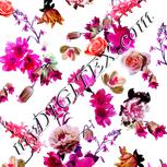 Colour:B