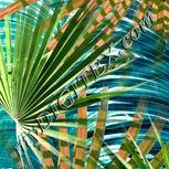 Colour:A