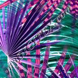 Colour:B