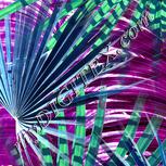Colour:C