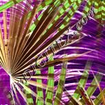 Colour:D