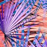 Colour:F