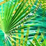Colour:K