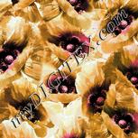 Colour:A