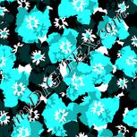 Colour:F