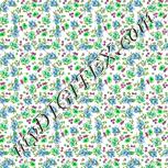 Colour:D