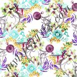 Colour:B