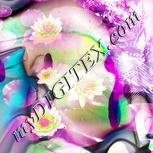 Colour:B