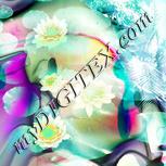 Colour:C