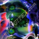 Colour:F